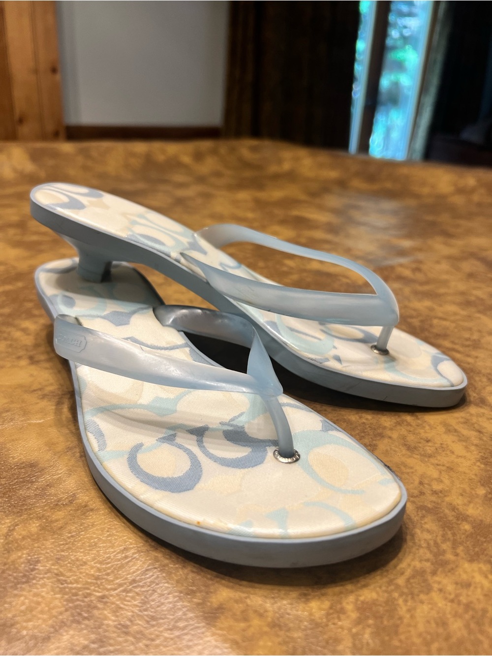 Y2K Coach Carin Jelly Kitten Heel Thong Sandal 🩵🩴